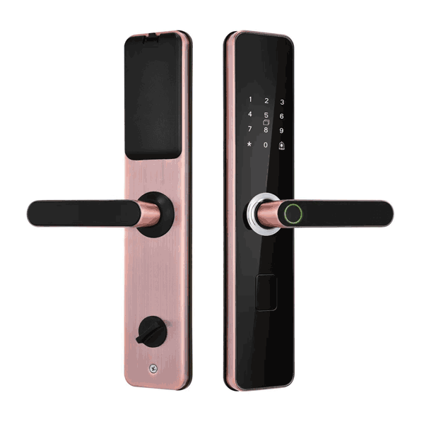 SL-ZN-S0003
