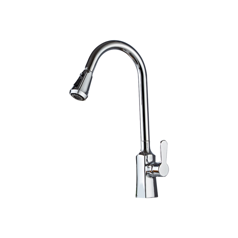 Kitchen faucet